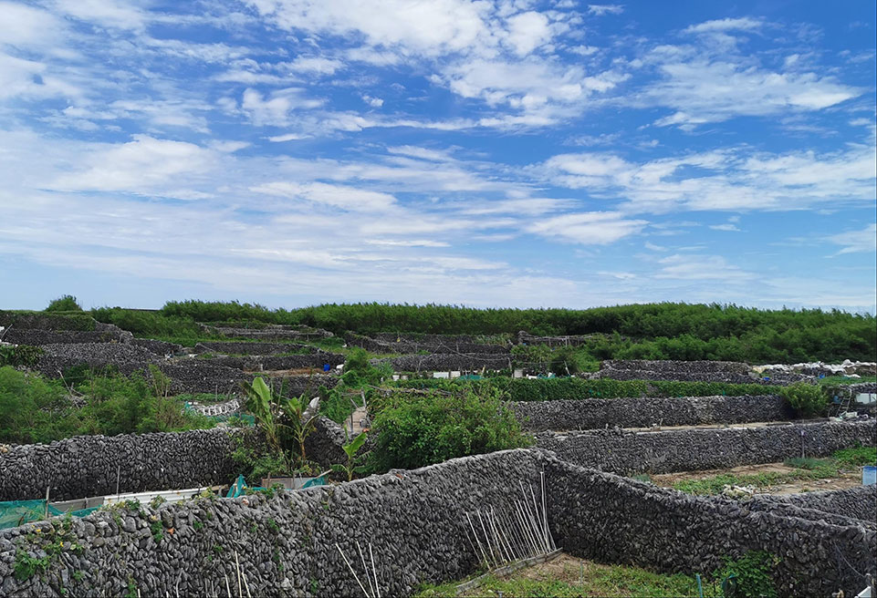 「探索澎湖」榮獲希臘The Amorgos Film Festival獎項