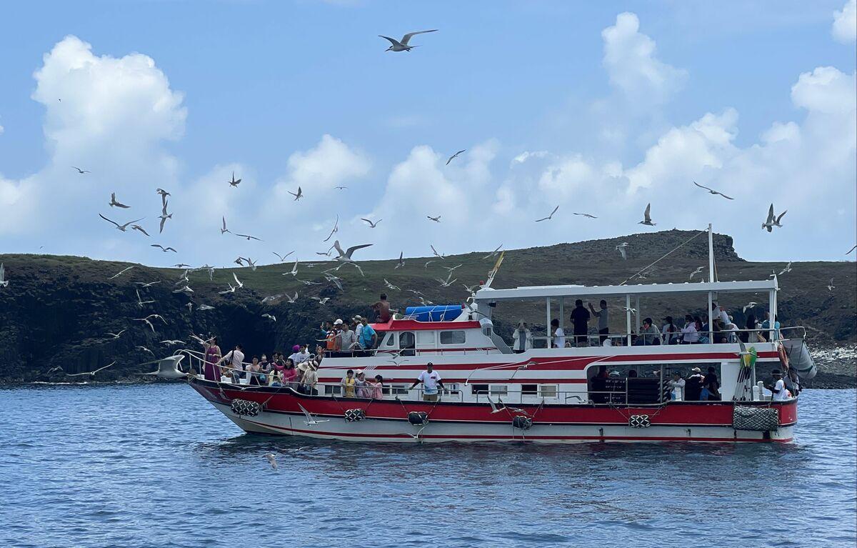 澎管處精心規劃「南海賞鷗」與「東北海賞鷗」兩條經典航線。 圖：取自澎管處網站