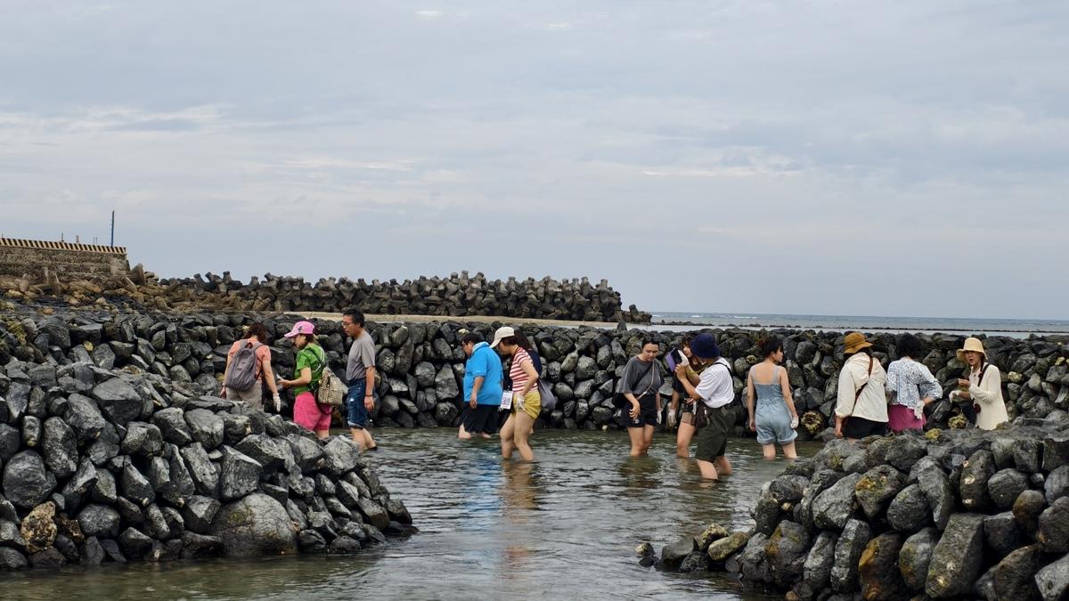 石滬是澎湖最重要的一項潮間帶漁撈活動。 圖：孫家銘攝