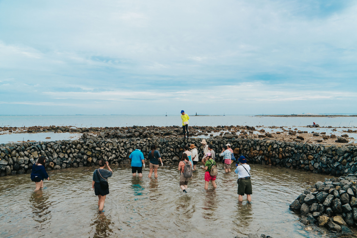 參與巡滬活動，探索潮間帶豐富的生態。 圖：澎湖國家風景區管理處/提供