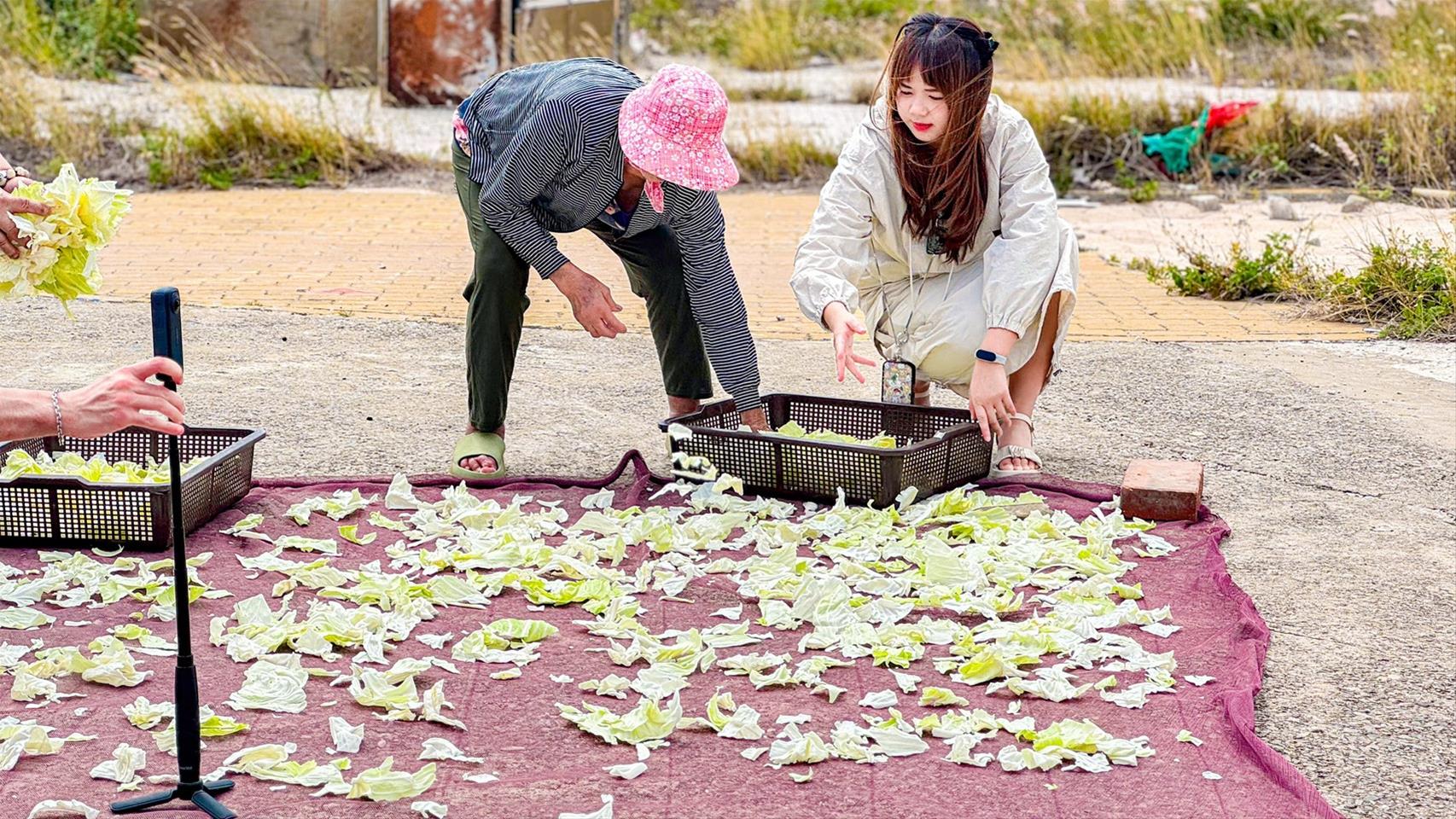 2025澎湖四季皆精采—春賞鷗與夏石滬登場 媒體踩線推廣深度體驗魅力